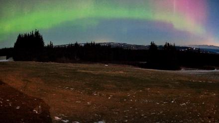 Homer Alaska Northern Lights Live Cam - Dec 12, 2025, 7:55am AKST