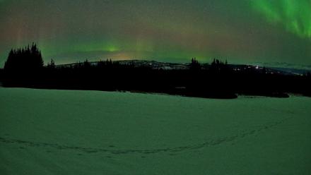 Homer Alaska Northern Lights Live Cam - Feb 22, 2026, 1:53am AKST