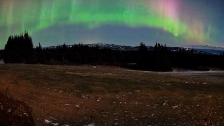 Homer Alaska Northern Lights Live Cam - Dec 12, 2025, 7:43am AKST