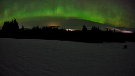 Homer Alaska Northern Lights Live Cam - Feb 19, 2026, 3:51am AKST