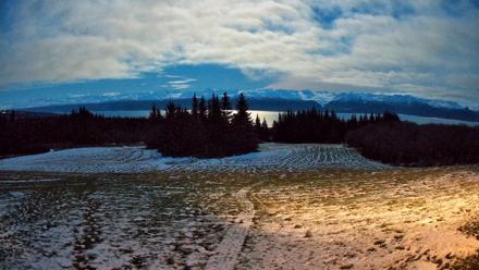 Homer Alaska Northern Lights Live Cam - Dec 1, 2025, 5:42pm AKST