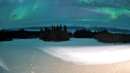 Homer Alaska Northern Lights Live Cam - Jan 20, 2026, 2:29am AKST