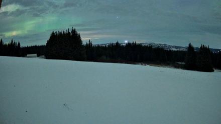 Homer Alaska Northern Lights Live Cam - Jan 20, 2026, 1:19am AKST