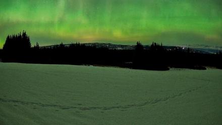 Homer Alaska Northern Lights Live Cam - Feb 22, 2026, 12:12am AKST