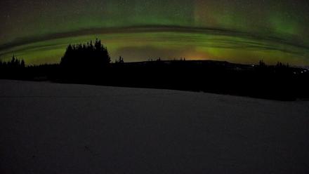 Homer Alaska Northern Lights Live Cam - Jan 24, 2026, 3:14am AKST