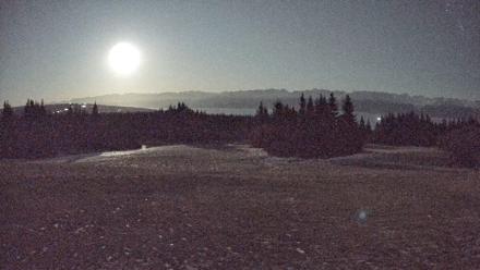 Homer Alaska Northern Lights Live Cam - Dec 8, 2025, 10:24pm AKST