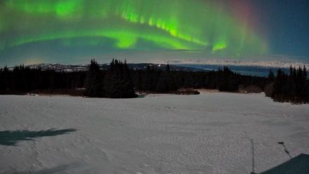 Homer Alaska Northern Lights Live Cam - Mar 25, 2026, 12:29am AKDT