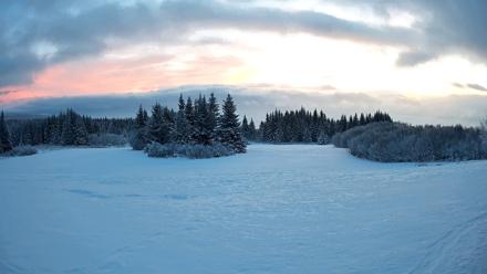 Homer Alaska Northern Lights Live Cam - Jan 14, 2026, 9:53am AKST