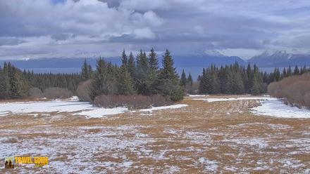 Homer Alaska Northern Lights Live Cam - Apr 20, 2026, 2:07pm AKDT