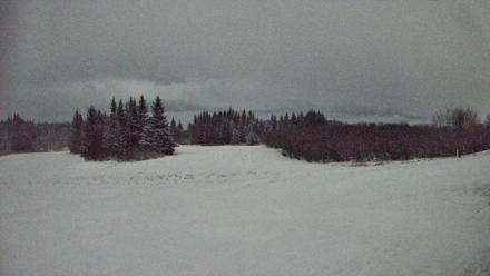 Homer Alaska Northern Lights Live Cam - Jan 5, 2026, 12:09am AKST