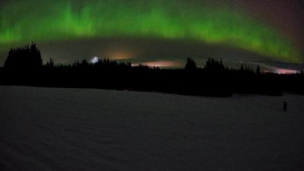 Homer Alaska Northern Lights Live Cam - Feb 19, 2026, 3:35am AKST