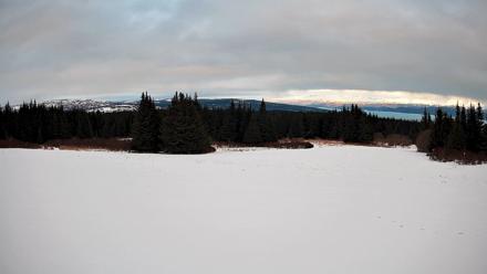 Homer Alaska Northern Lights Live Cam - Feb 17, 2026, 5:10pm AKST