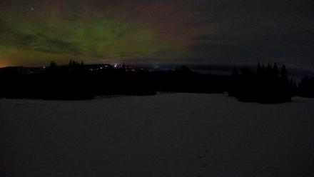 Homer Alaska Northern Lights Live Cam - Jan 19, 2026, 7:45am AKST