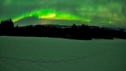 Homer Alaska Northern Lights Live Cam - Feb 21, 2026, 11:59pm AKST