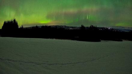 Homer Alaska Northern Lights Live Cam - Feb 22, 2026, 12:21am AKST