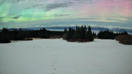 Homer Alaska Northern Lights Live Cam - Jan 20, 2026, 2:48am AKST