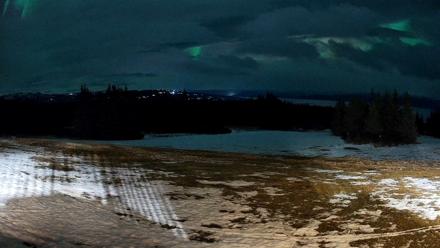 Homer Alaska Northern Lights Live Cam - Feb 4, 2026, 8:34pm AKST