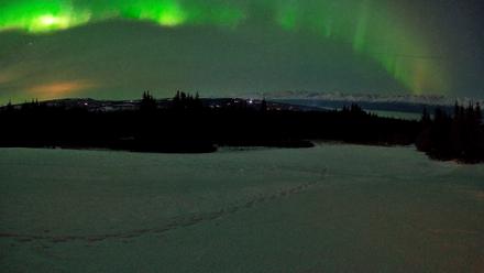 Homer Alaska Northern Lights Live Cam - Feb 21, 2026, 11:29pm AKST
