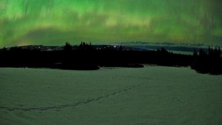 Homer Alaska Northern Lights Live Cam - Feb 22, 2026, 12:48am AKST