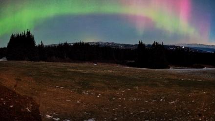 Homer Alaska Northern Lights Live Cam - Dec 12, 2025, 8:08am AKST