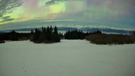 Homer Alaska Northern Lights Live Cam - Jan 20, 2026, 2:51am AKST