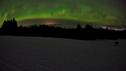 Homer Alaska Northern Lights Live Cam - Feb 19, 2026, 4:04am AKST