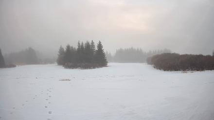 Homer Alaska Northern Lights Live Cam - Jan 26, 2026, 12:09pm AKST