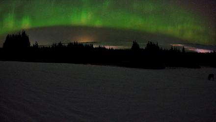Homer Alaska Northern Lights Live Cam - Feb 19, 2026, 3:44am AKST