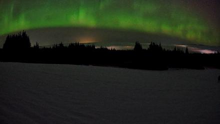 Homer Alaska Northern Lights Live Cam - Feb 19, 2026, 3:43am AKST