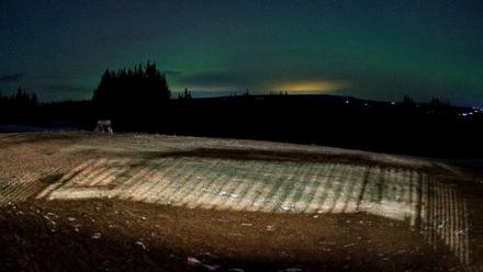 Homer Alaska Northern Lights Live Cam - Dec 11, 2025, 8:59pm AKST