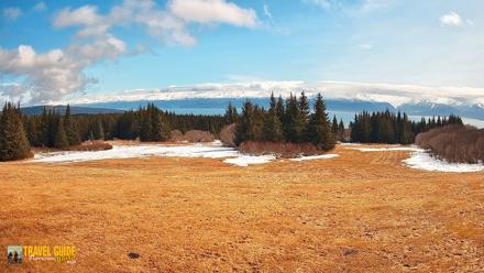Homer Alaska Northern Lights Live Cam - Apr 21, 2026, 1:17pm AKDT