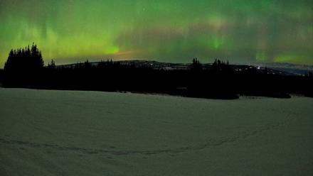 Homer Alaska Northern Lights Live Cam - Feb 22, 2026, 12:20am AKST