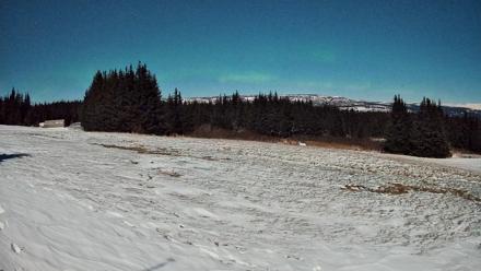 Homer Alaska Northern Lights Live Cam - Jan 3, 2026, 3:38am AKST