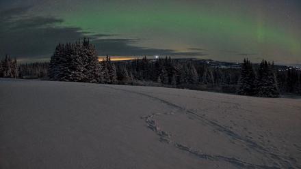 Homer Alaska Northern Lights Live Cam - Jan 9, 2026, 6:11am AKST