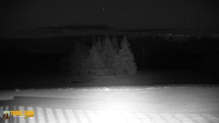 Homer Alaska Northern Lights Live Cam - Oct 1, 2026, 8:58pm AKDT