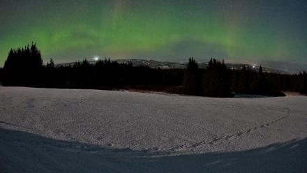 Homer Alaska Northern Lights Live Cam - Feb 24, 2026, 1:21am AKST