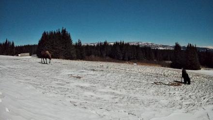 Homer Alaska Northern Lights Live Cam - Jan 2, 2026, 11:11pm AKST