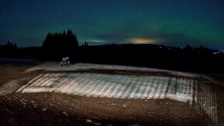 Homer Alaska Northern Lights Live Cam - Dec 11, 2025, 9:09pm AKST