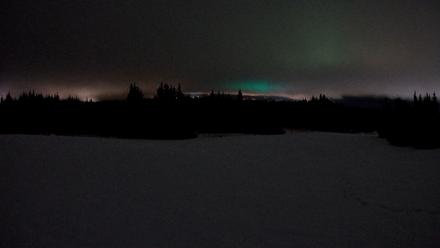 Homer Alaska Northern Lights Live Cam - Feb 19, 2026, 12:25am AKST