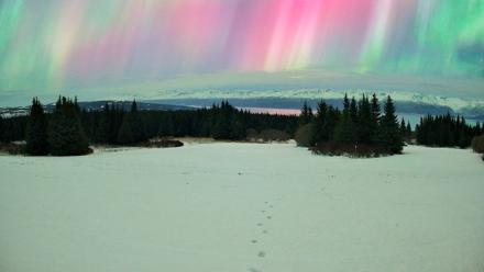 Homer Alaska Northern Lights Live Cam - Jan 20, 2026, 4:53am AKST