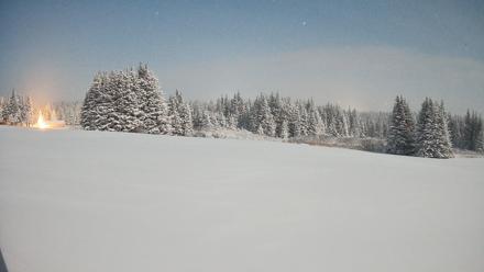 Homer Alaska Northern Lights Live Cam - Jan 7, 2026, 3:04am AKST