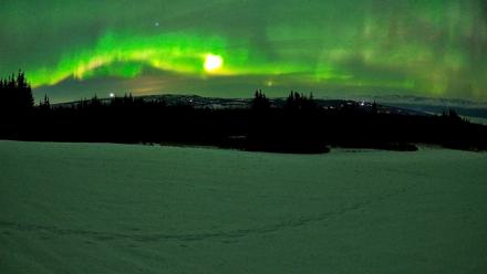 Homer Alaska Northern Lights Live Cam - Feb 22, 2026, 12:00am AKST