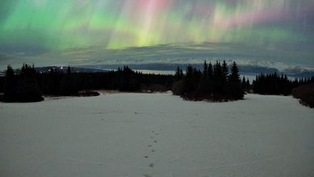 Homer Alaska Northern Lights Live Cam - Jan 20, 2026, 4:10am AKST
