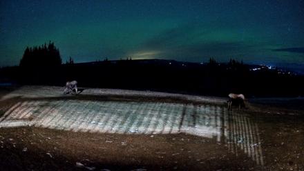 Homer Alaska Northern Lights Live Cam - Dec 11, 2025, 9:34pm AKST