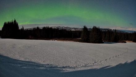 Homer Alaska Northern Lights Live Cam - Feb 25, 2026, 1:53am AKST