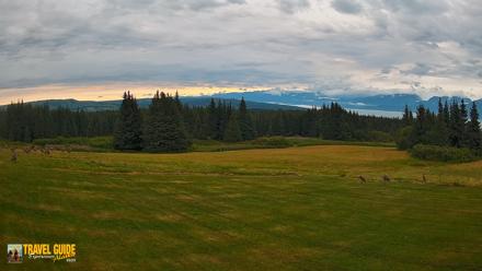 Homer Alaska Northern Lights Live Cam - Aug 19, 2026, 8:15am AKDT