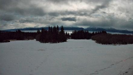 Homer Alaska Northern Lights Live Cam - Feb 1, 2026, 11:10pm AKST