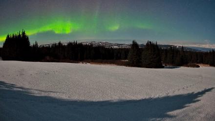 Homer Alaska Northern Lights Live Cam - Feb 25, 2026, 1:21am AKST