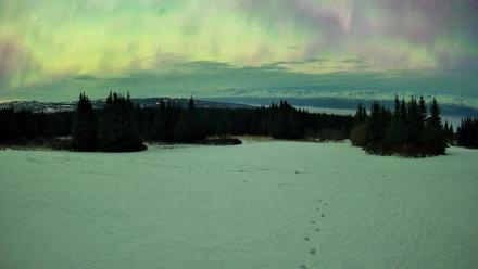 Homer Alaska Northern Lights Live Cam - Jan 20, 2026, 5:46am AKST