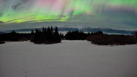 Homer Alaska Northern Lights Live Cam - Jan 20, 2026, 3:01am AKST